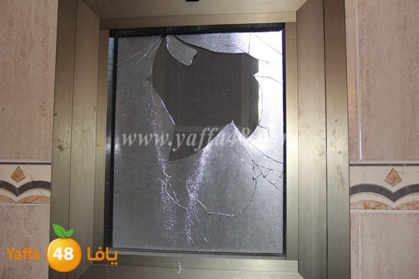 modahama lud 0216 (41).JPG